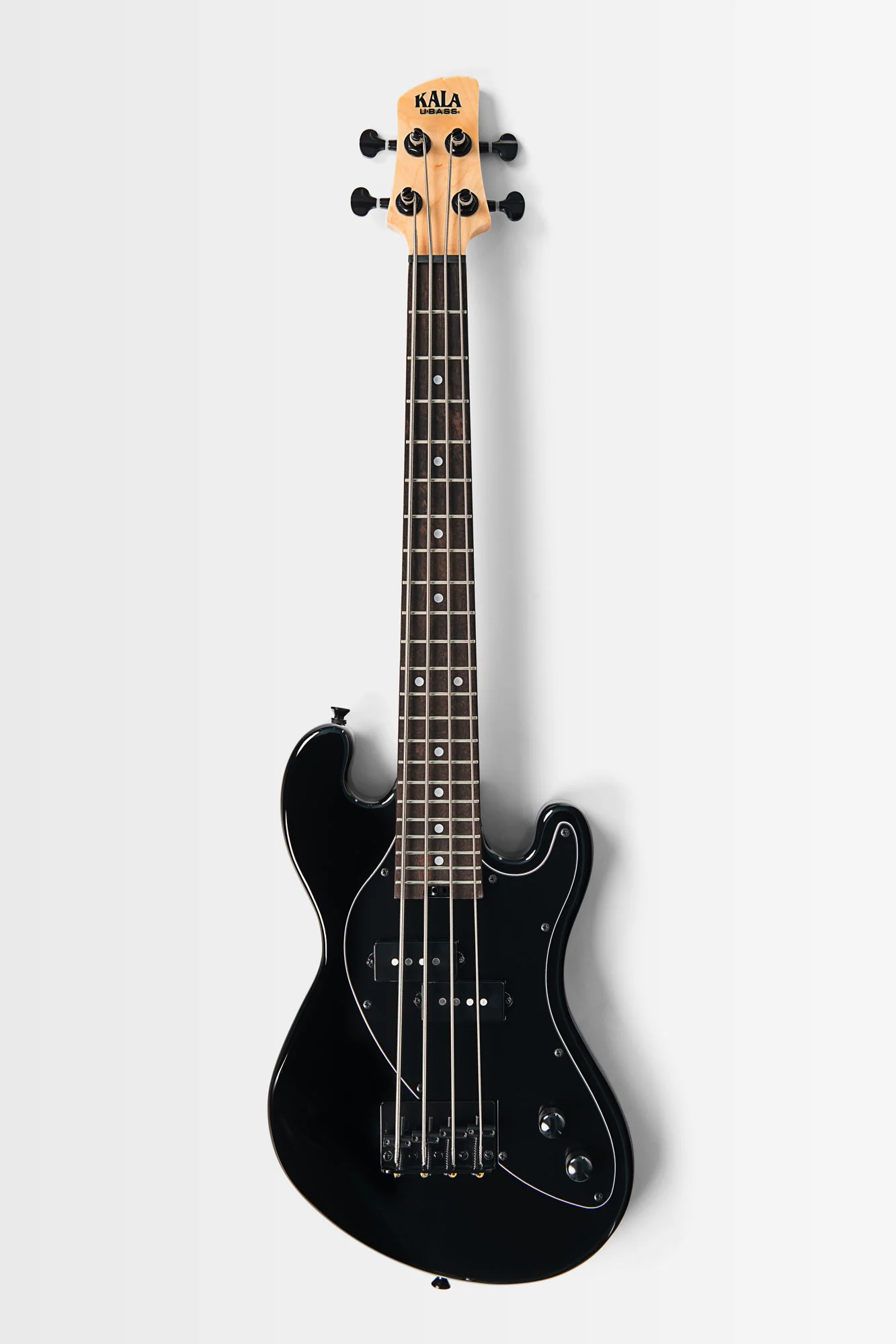New U•BASS® Arrivals